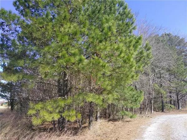 42-7B College RN, Elberon, VA 23846