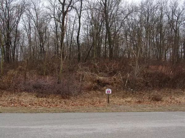 Demotte, IN 46310,10240 Forest Hills DR