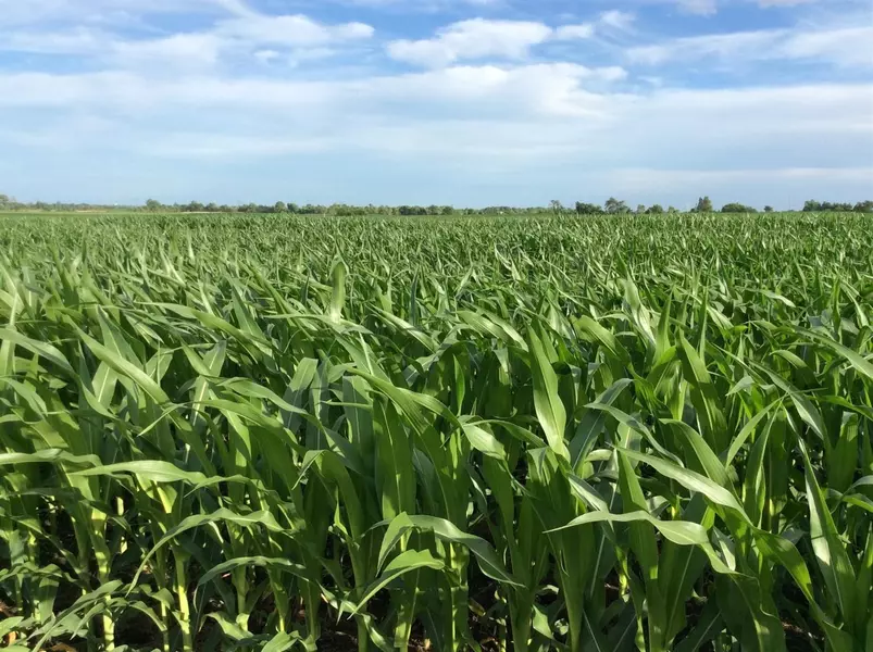 0 Montgomery St & 145th East Ave, Hebron, IN 46341