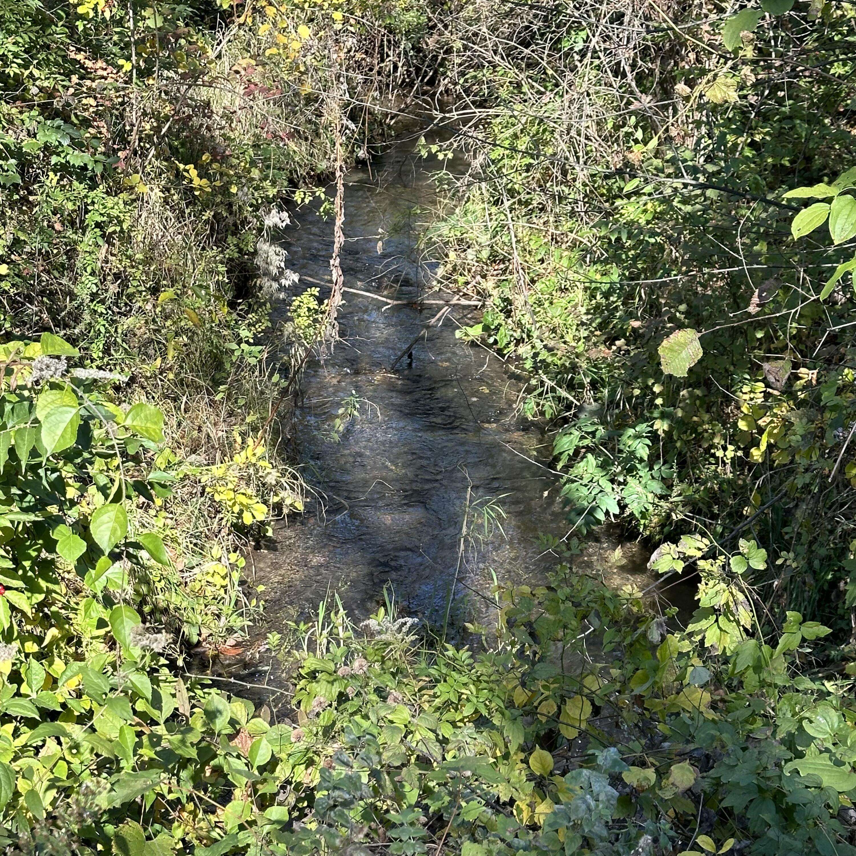 La Porte, IN 46350,0 Nicomus PATH