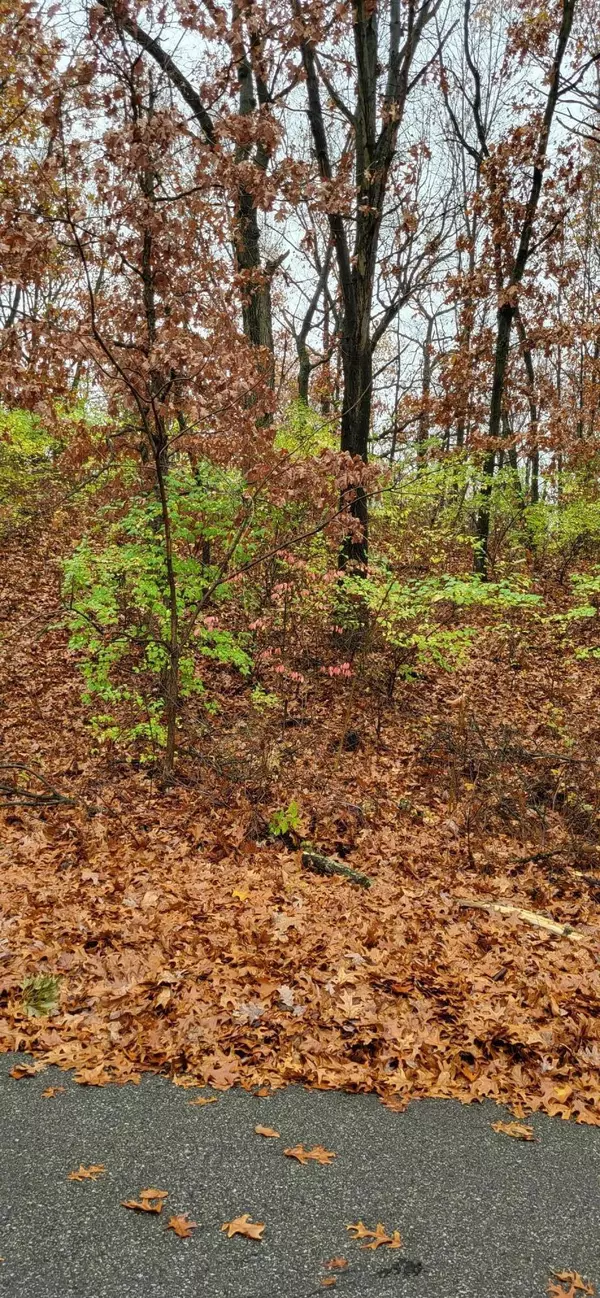 Lot 68 Hillside LN, Demotte, IN 46310