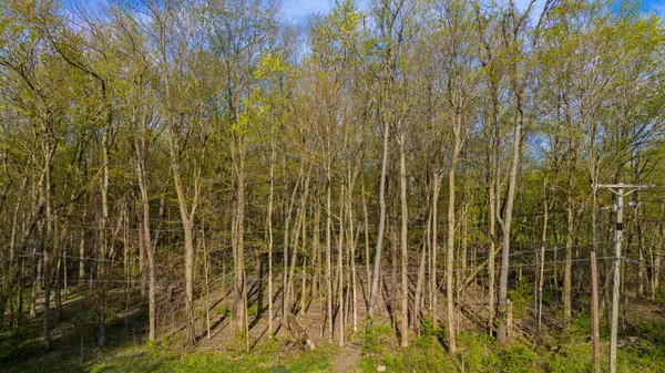 New Carlisle, IN 46552,0 Pansy LN