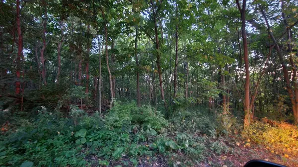 Cedar Lake, IN 46303,7302 Morse LN