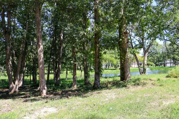 Crown Point, IN 46307,735 Druim TRL