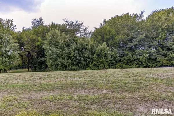 401 RAMBLEWOOD RD, Chatham, IL 62629