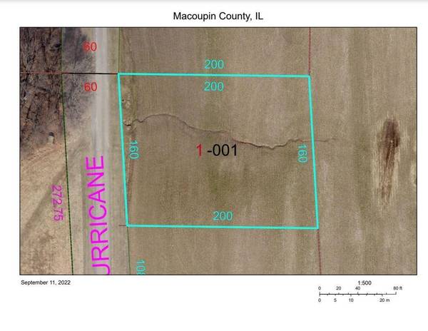 Lot 1  6TH ADDN HURRICANE DR, Carlinville, IL 62626