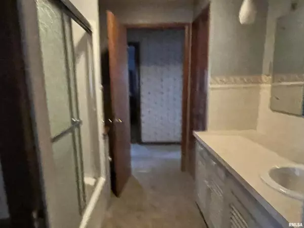 Bluffs, IL 62621,309 S BLUFF ST