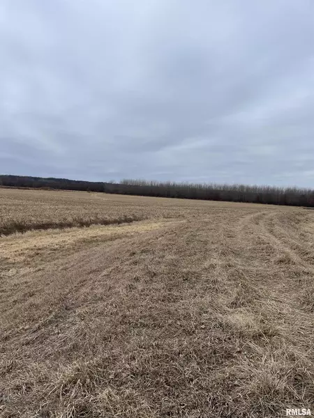 E RAY RD, Lewistown, IL 61524