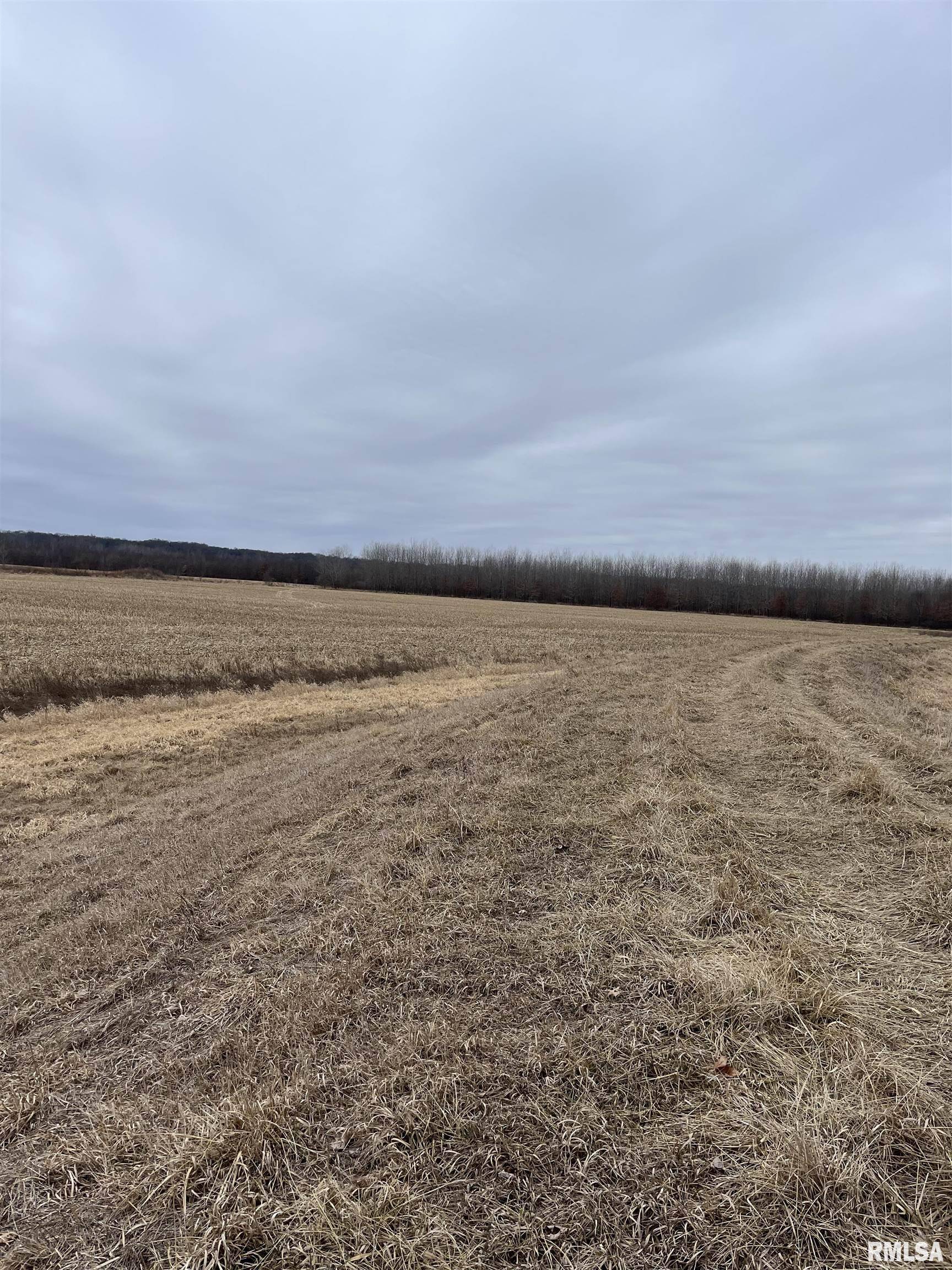 E RAY RD, Lewistown, IL 61524