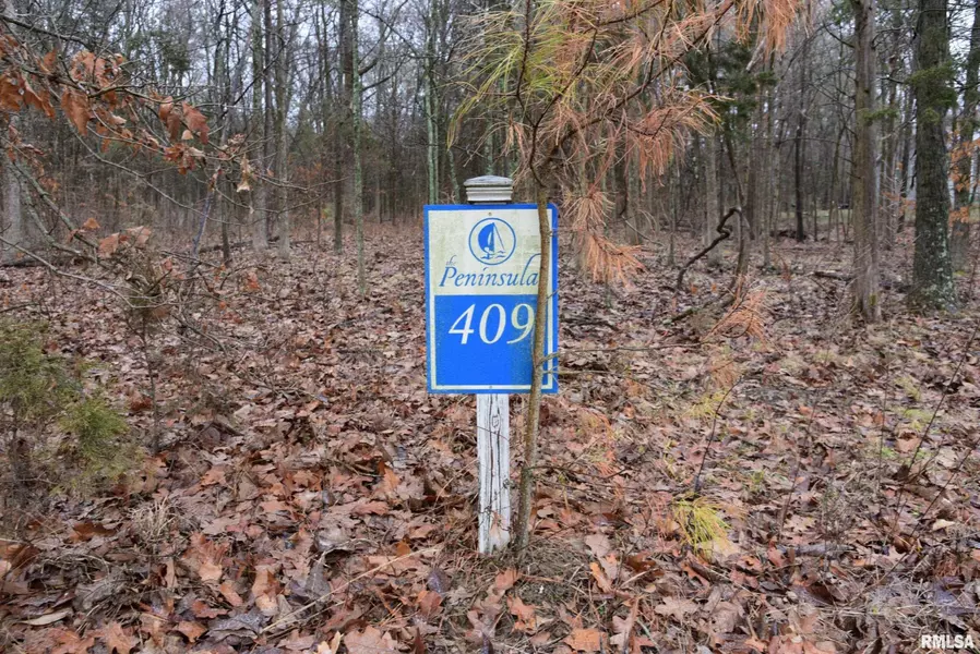 LOT 409 Parrish Ridge LN, Goreville, IL 62939