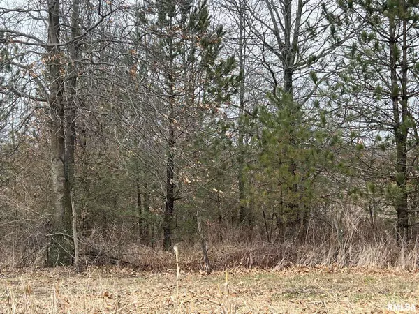 Baylis, IL 62314,151 E 3053rd LN