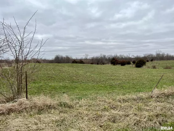 Canton, MO 63435,29001 145TH ST