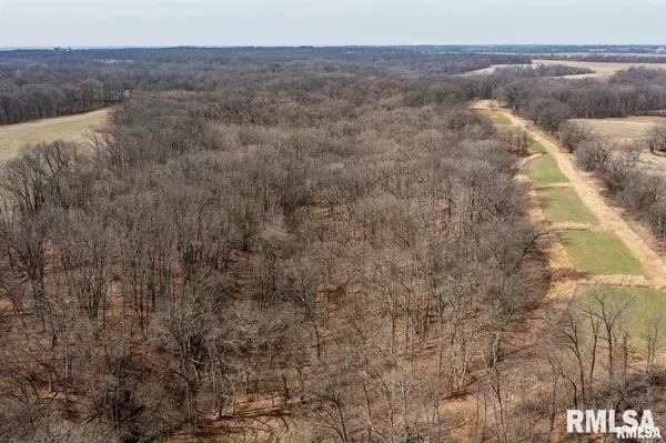 Baylis, IL 62314,NE Section 25 3S 5W