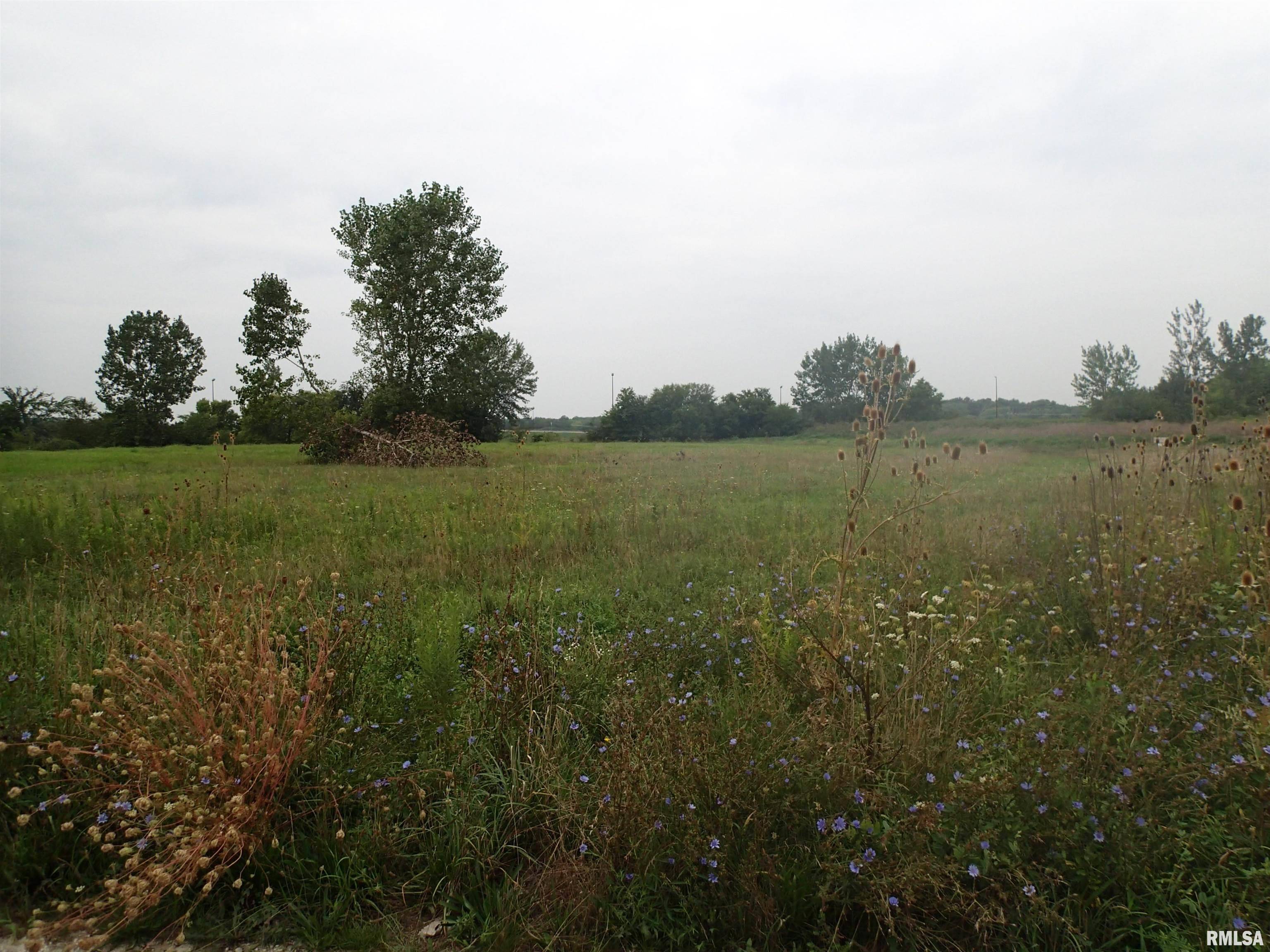 Lincoln, IL 62656,1023 Heitmann DR