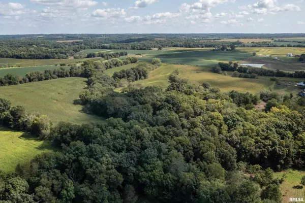 Barry, IL 62312,32.75 acres Hadley TWP Section 17