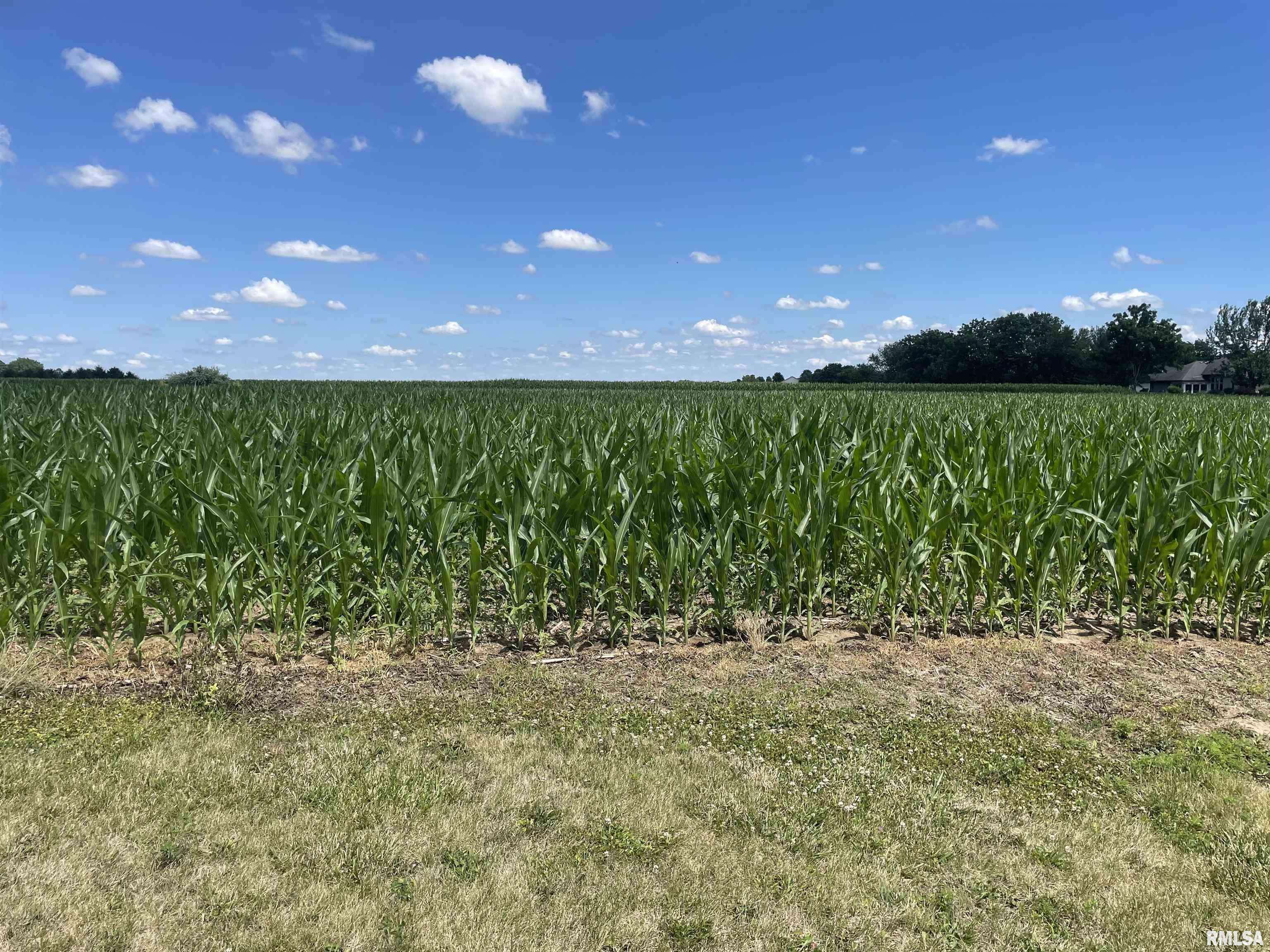 Lot 65 Centennial Park ST, Springfield, IL 62711