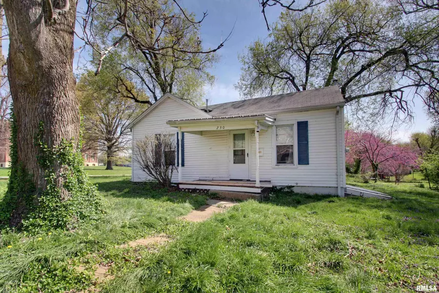 230 N ILLINOIS ST, Pittsfield, IL 62363