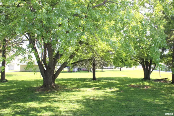 Alpha, IL 61413,214 W B ST