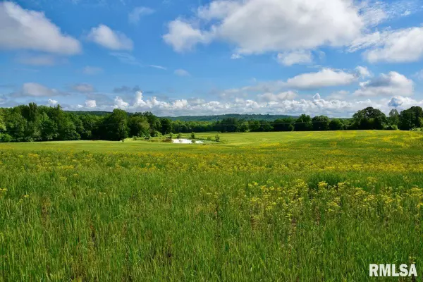 000 PLEASANT RIDGE RD, Vienna, IL 62995