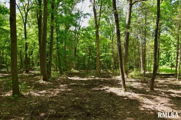 Stonefort, IL 62987,001 Robinson Hill RD