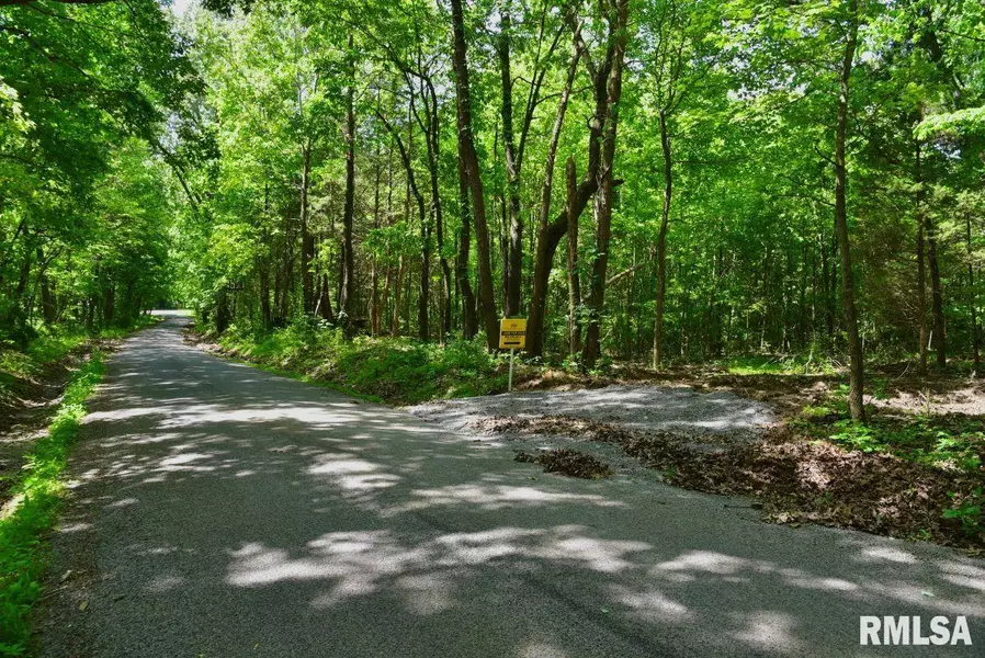 001 Robinson Hill RD, Stonefort, IL 62987
