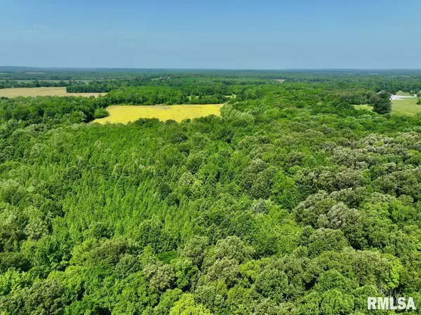 Stonefort, IL 62987,001 Robinson Hill RD