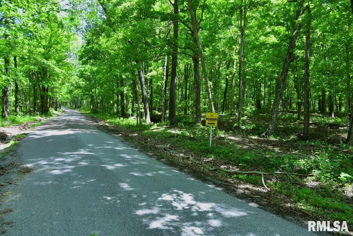 Stonefort, IL 62987,000 Battleford RD