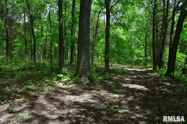 Stonefort, IL 62987,001 Battleford RD