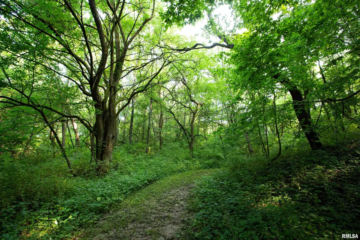 Dahinda, IL 61428,0000 E Knox Rd 1350 E RD #11424