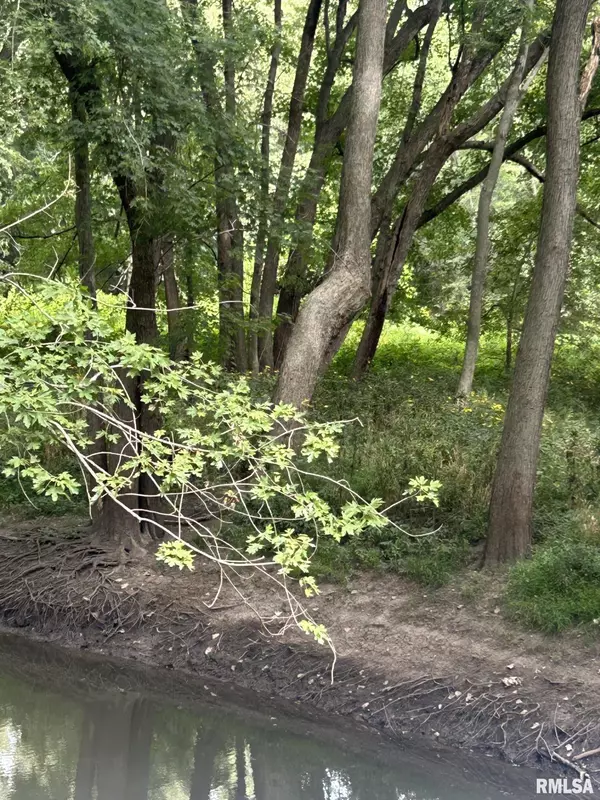 Edinburg, IL 62531,2600 N 800 E RD