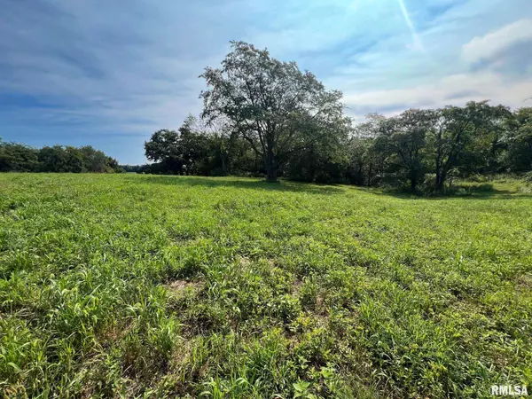 Blandinsville, IL 61420,RR N 1800 RD