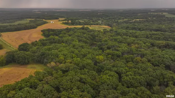 34202 395th LN, Baylis, IL 62314