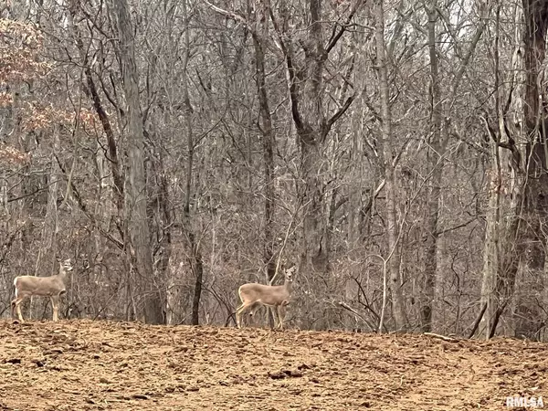 Petersburg, IL 62675,50 & 52 Hideaway Estates ST