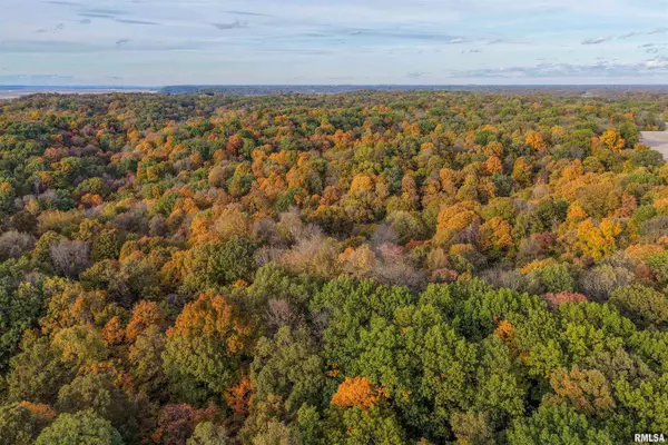 Fieldon, IL 62031,00 Eldred RD