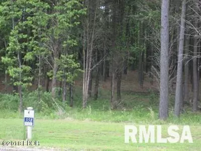 Lot 358 Parrish Ridge LN, Goreville, IL 62939