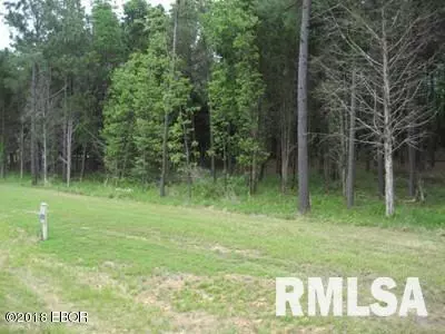 Goreville, IL 62939,Lot 358 Parrish Ridge LN