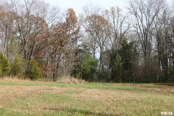 Goreville, IL 62939,Lot 31 Luxor Landing LN