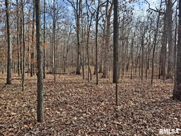 Mt Vernon, IL 62864,0000 N 27TH ST