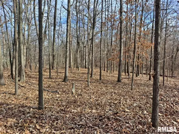 Mt Vernon, IL 62864,0000 N 27TH ST