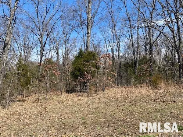 Goreville, IL 62939,Lot 79 Saluki WAY