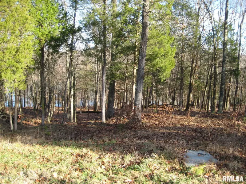 Lot 279 Rocky PT, Goreville, IL 62939