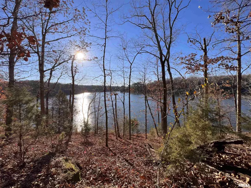 Lot 172 Parrish Ridge LN, Goreville, IL 62939