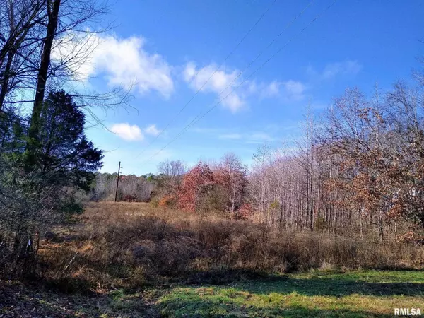 Golconda, IL 62938,18 Old Golconda RD