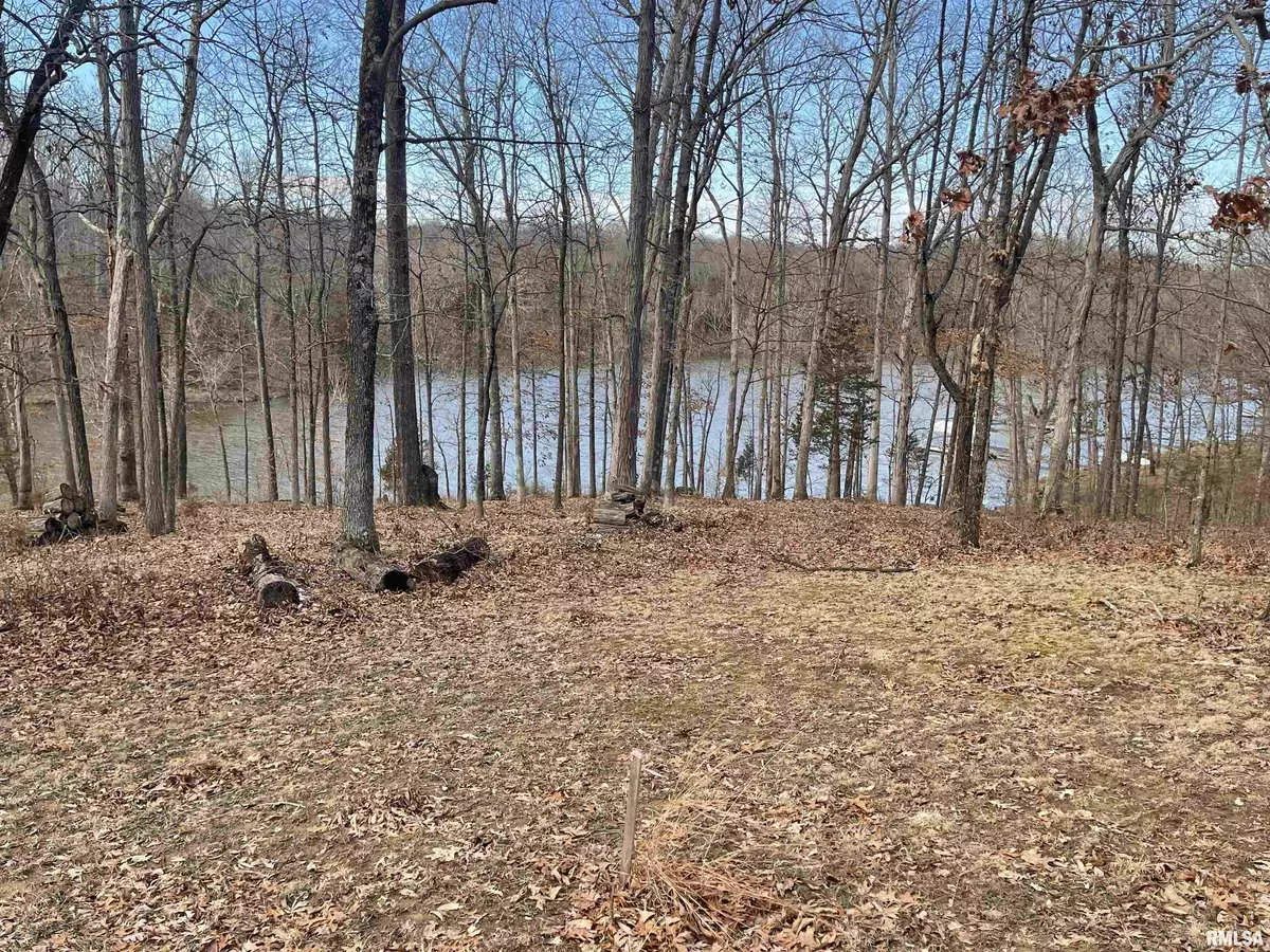 Goreville, IL 62939,Lot 76 & 77 Saluki WAY