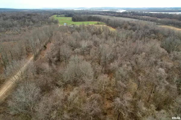 Brookport, IL 62910,TBD Dog Island RD