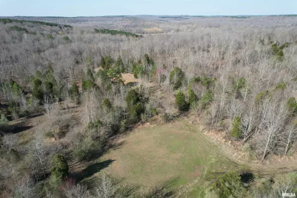 Golconda, IL 62938,000 Grand Pierre RD