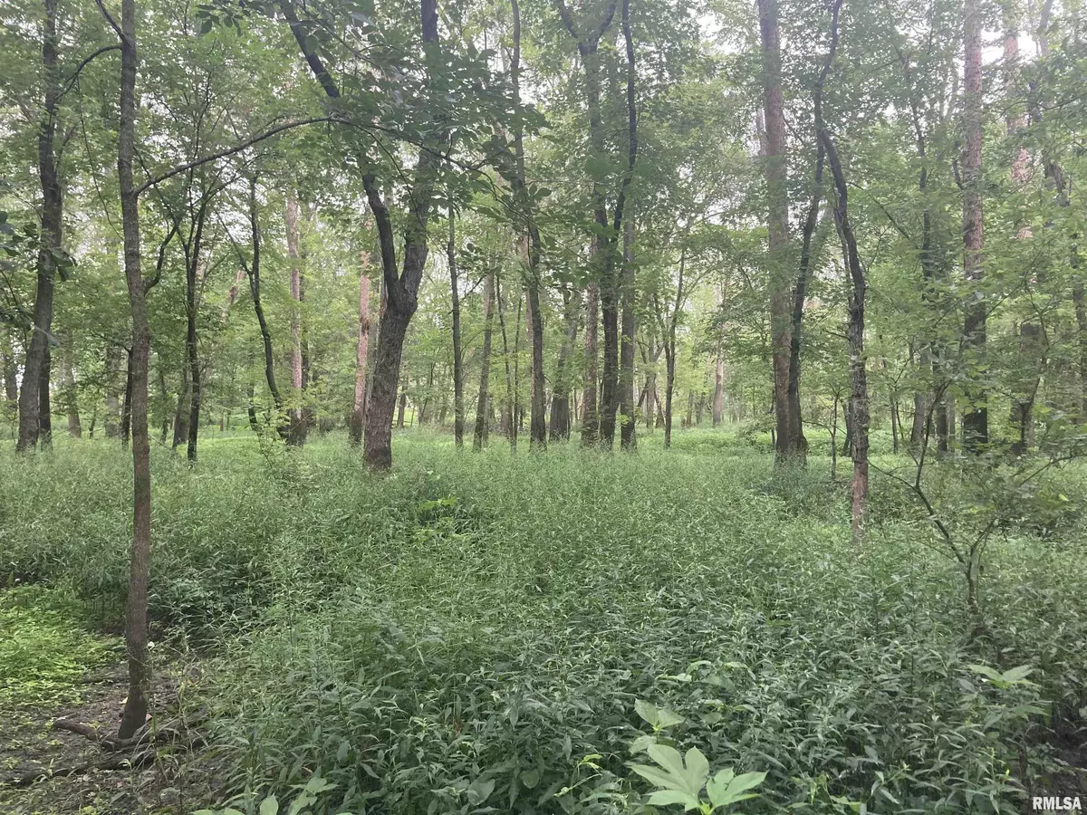 Bartelso, IL 62245,000 Hermes RD