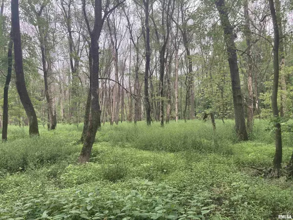 Bartelso, IL 62245,000 Hermes RD