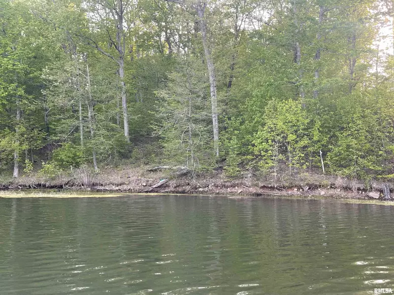 lot 242 Parrish Ridge LN, Goreville, IL 62939