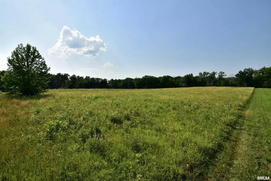 TBD NEWPORT RD, West Frankfort, IL 62896